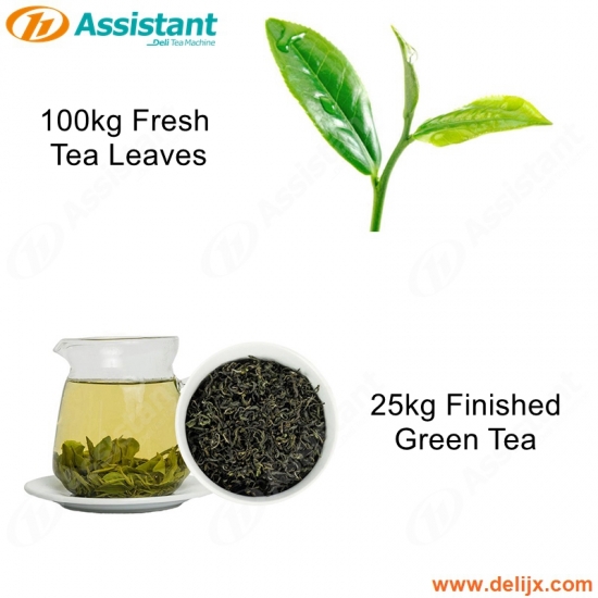 25 кг готового зеленого чая 100 кг свежего зеленого чая для производства машин