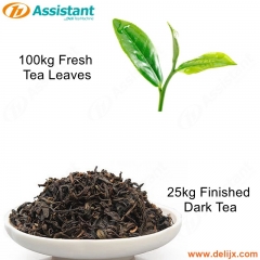 100 кг свежих чайных листьев для обработки 25 кг готовых машин для производства темного чая